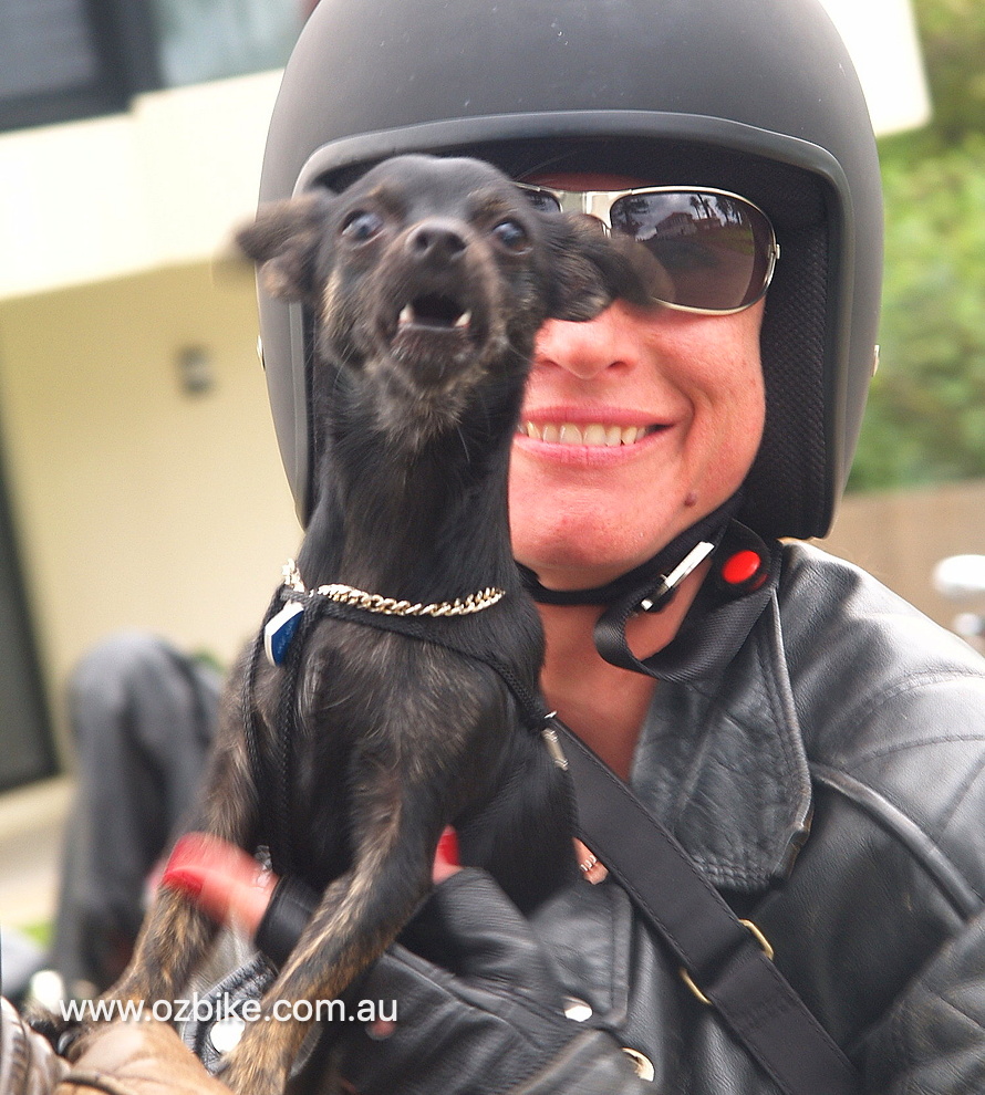 Hells Angels Poker Ride_11