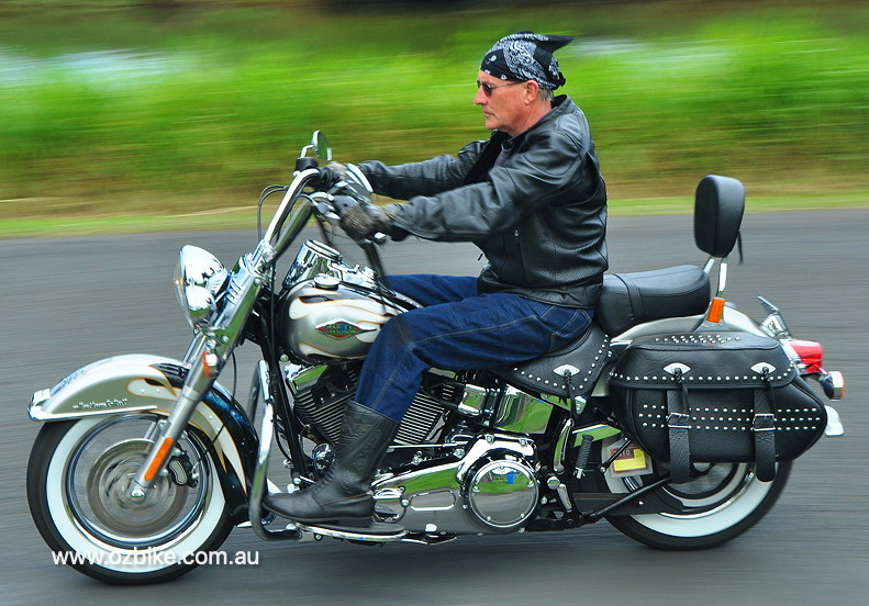 Harley Classic Scorpion Softail 7