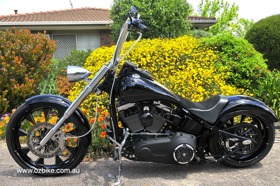 Harley Cross Bones