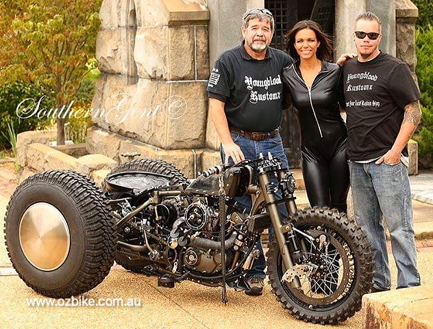 Harley-Davidson Sportster trike