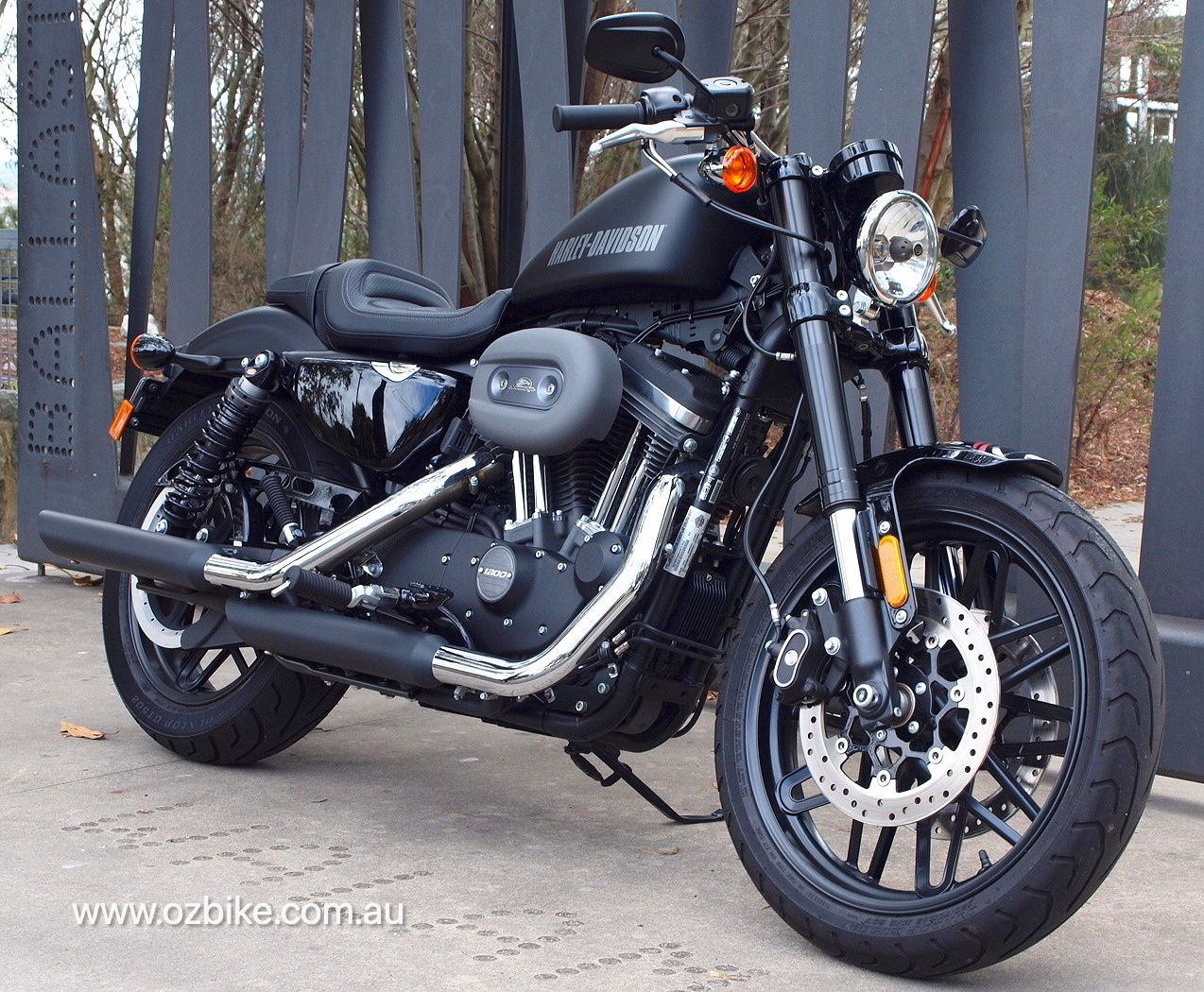 custom harley davidson roadster