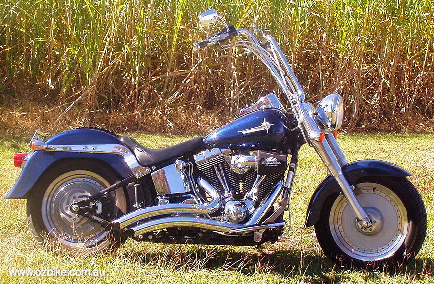 Harley-Davidson Twin Cam Softail