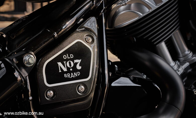 Indian Chief Dark Horse bobber